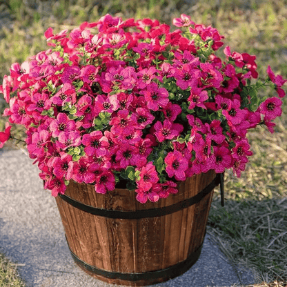 ☀️ UV-Resistant 🌺 Corrosion-Resistant 🌺 Artificial Violets Flowers