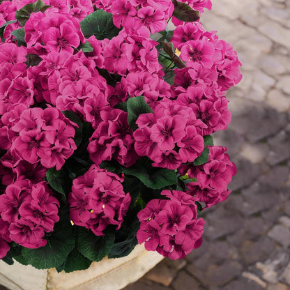 ☀️ UV-Resistant🌺Corrosion-Resistant Artificial Geranium Flowers 🌺